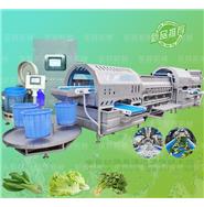 智能渦流清洗脫水線/渦流洗菜機/蔬菜清洗脫水機 (視頻)